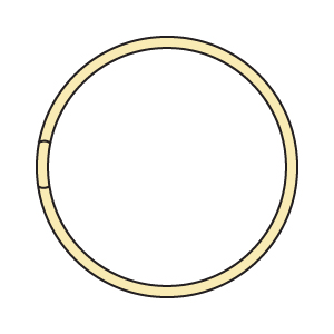 snap-band-ring-illustration